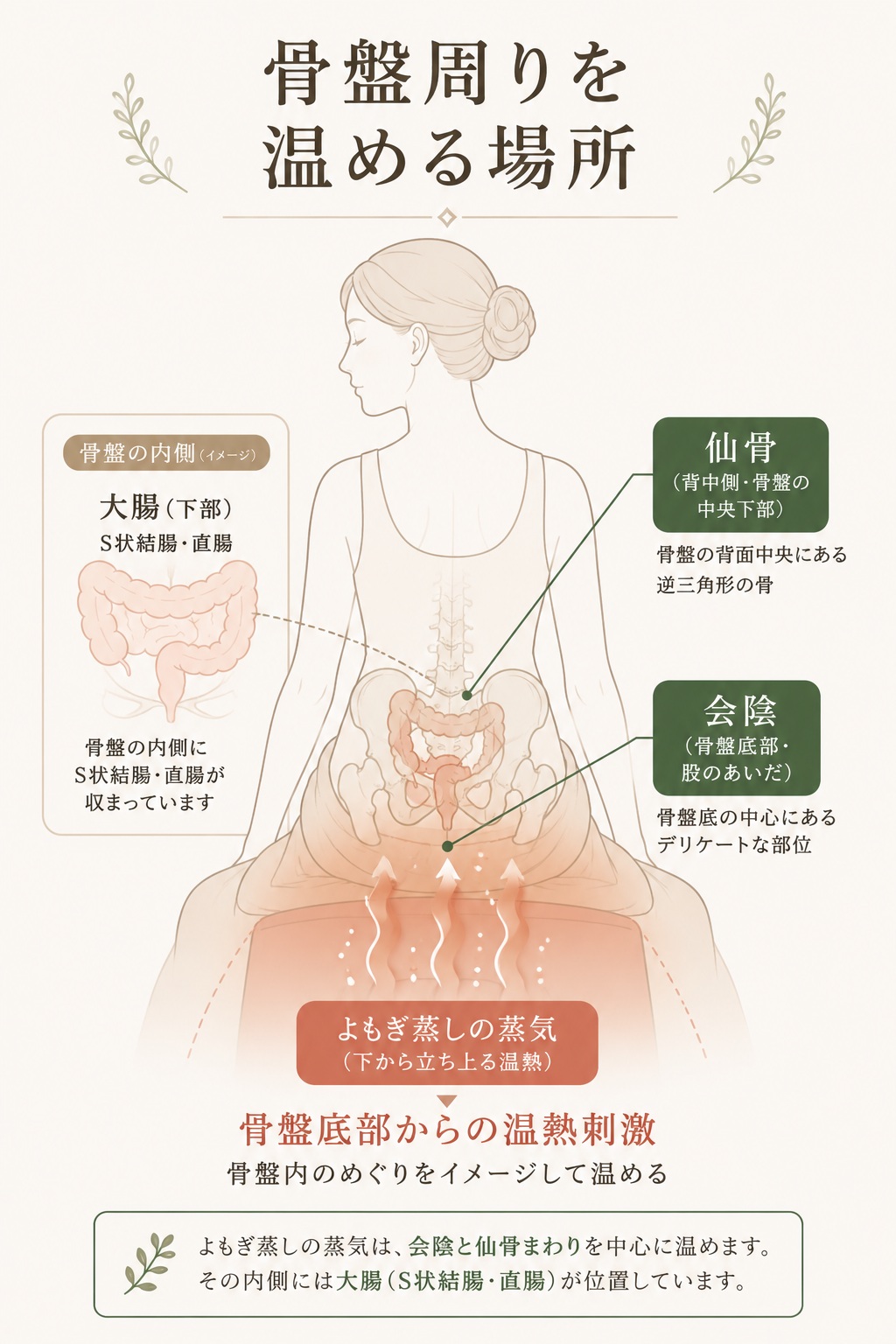 骨盤周りを温めることと腸の関係：骨盤・仙骨・会陰の位置と、温熱刺激による骨盤内血流促進・副交感神経への影響を示す図