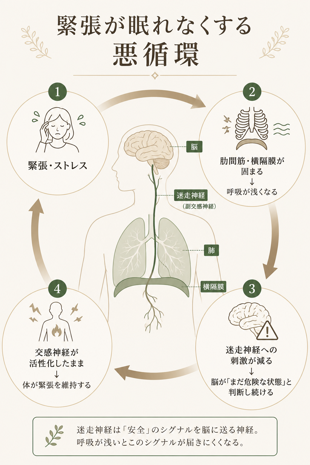 緊張が眠れなくする悪循環の図