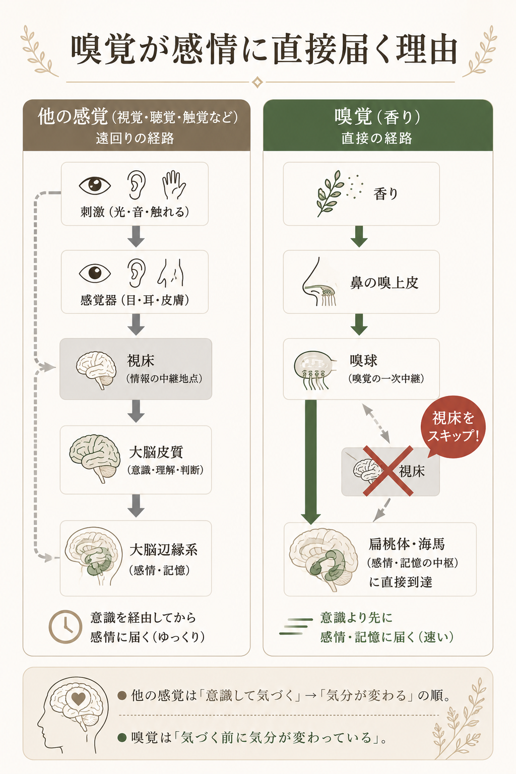 嗅覚が感情に直接届く理由の図