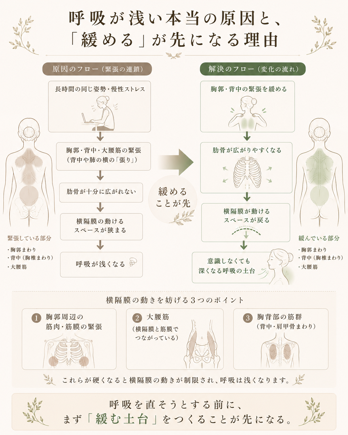 胸郭・背中の筋膜緊張が横隔膜の動きを制限するメカニズムと、緩めることで呼吸が変わる流れを示した図