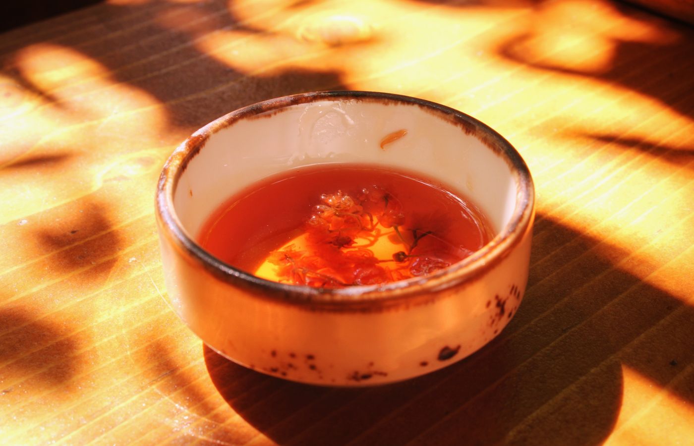 植物と自然光を写した静物